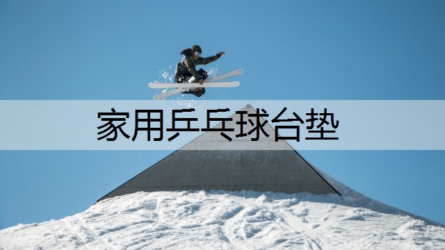 家用乒乓球台垫