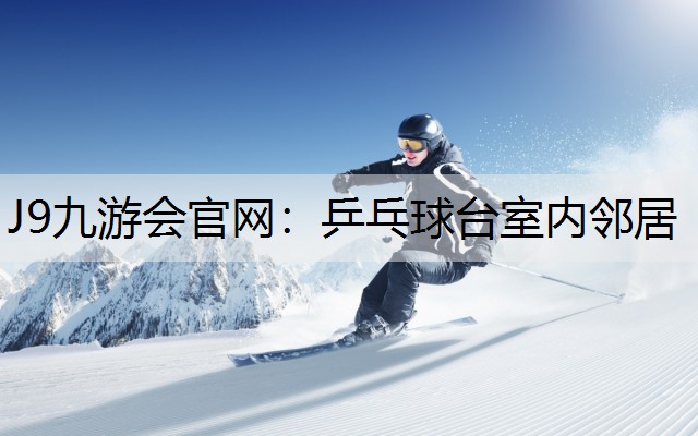 J9九游会官网：乒乓球台室内邻居