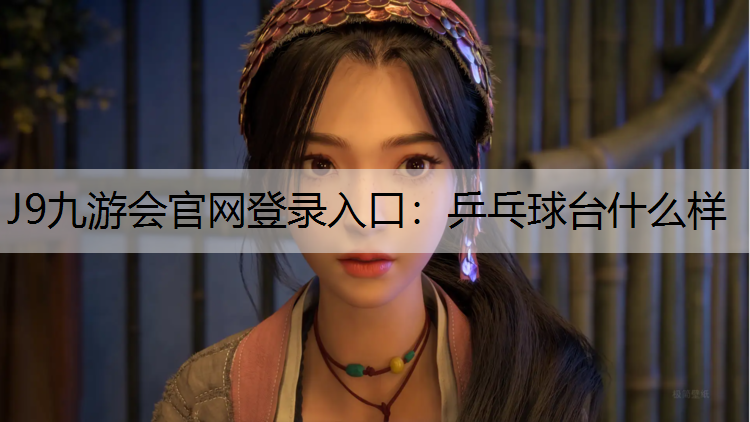 J9九游会官网登录入口：乒乓球台什么样