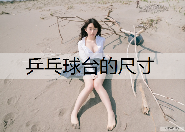 乒乓球台的尺寸