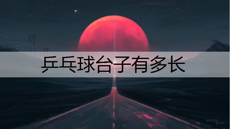 乒乓球台子有多长