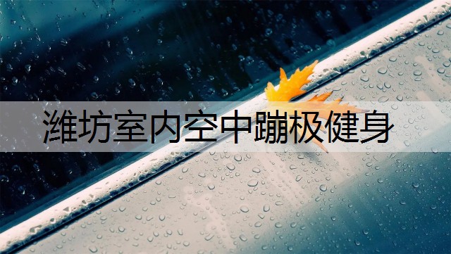 潍坊室内空中蹦极健身