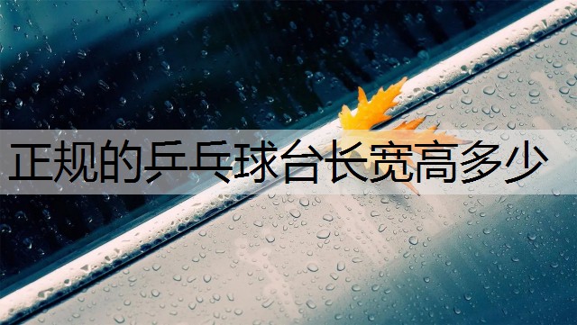 正规的乒乓球台长宽高多少