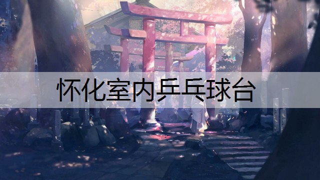 怀化室内乒乓球台