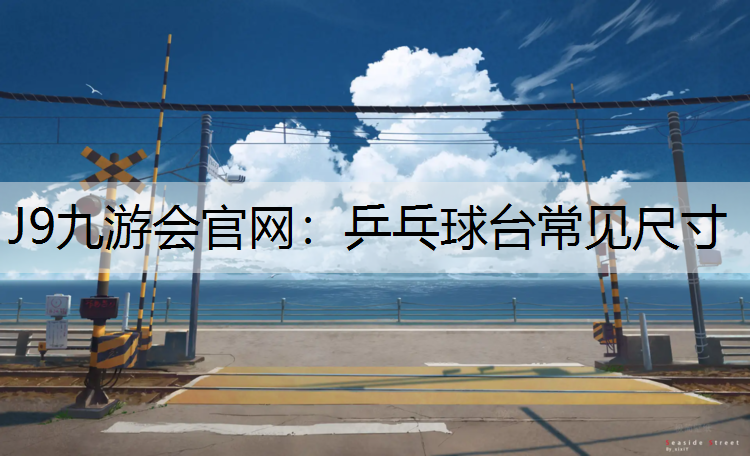 乒乓球台常见尺寸