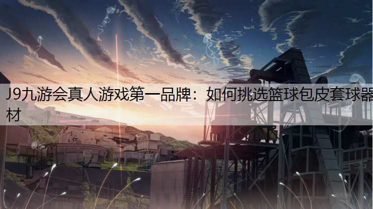 如何挑选篮球包皮套球器材